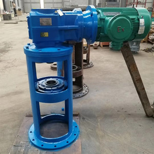 K齿轮顶入式搅拌器